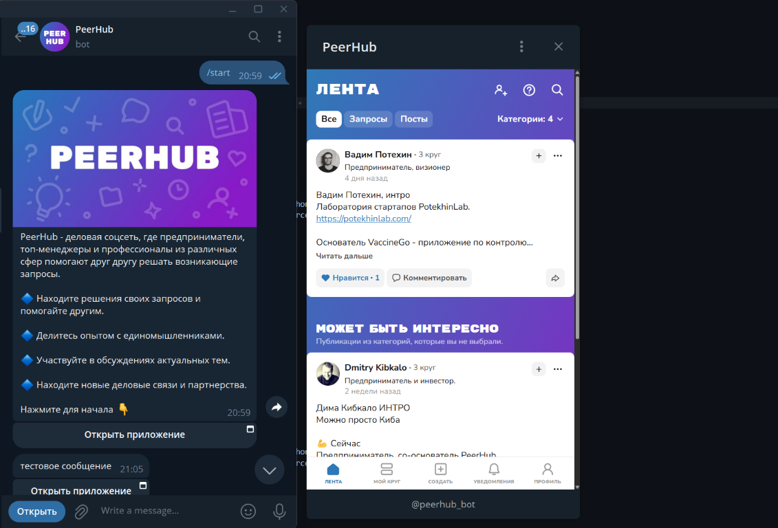PeerHub preview 1